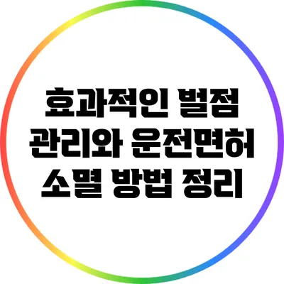 효과적인 벌점 관리와 운전면허 소멸 방법 정리