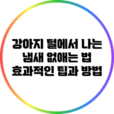 강아지 털에서 나는 냄새 없애는 법: 효과적인 팁과 방법