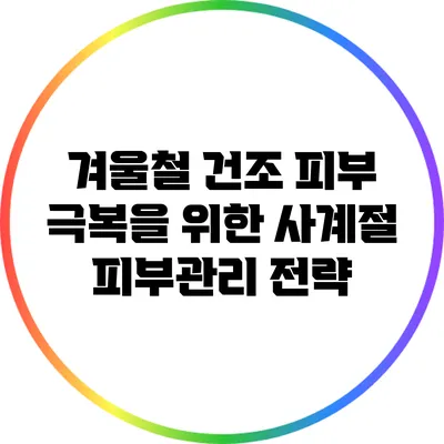겨울철 건조 피부 극복을 위한 사계절 피부관리 전략