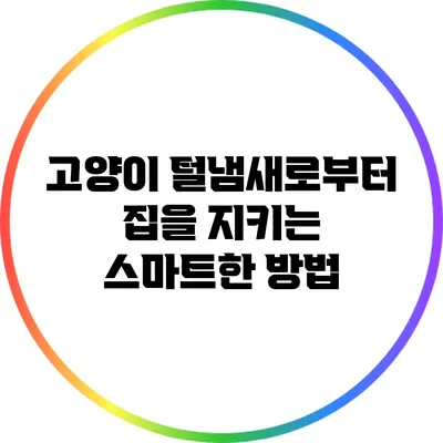 고양이 털냄새로부터 집을 지키는 스마트한 방법