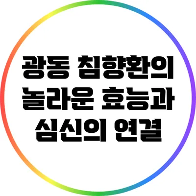 광동 침향환의 놀라운 효능과 심신의 연결