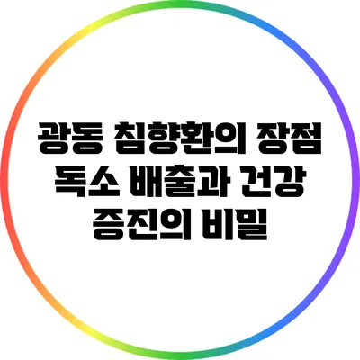 광동 침향환의 장점: 독소 배출과 건강 증진의 비밀