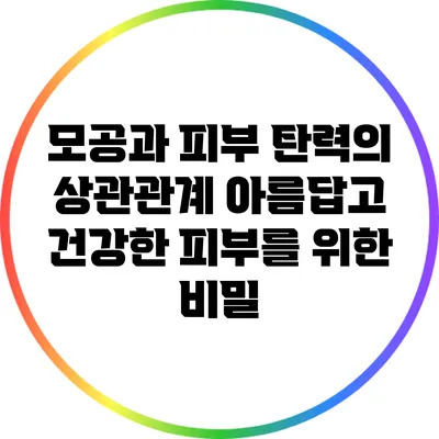 모공과 피부 탄력의 상관관계: 아름답고 건강한 피부를 위한 비밀
