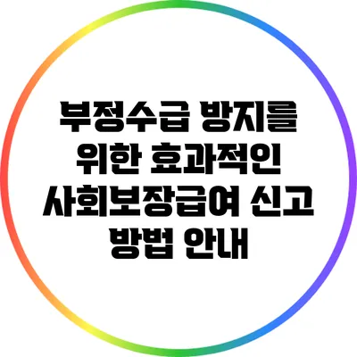 부정수급 방지를 위한 효과적인 사회보장급여 신고 방법 안내