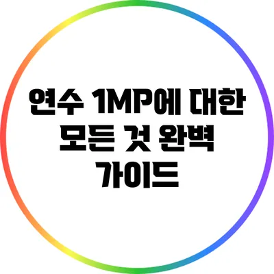 연수 1MP에 대한 모든 것: 완벽 가이드