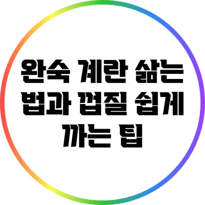 완숙 계란 삶는 법과 껍질 쉽게 까는 팁
