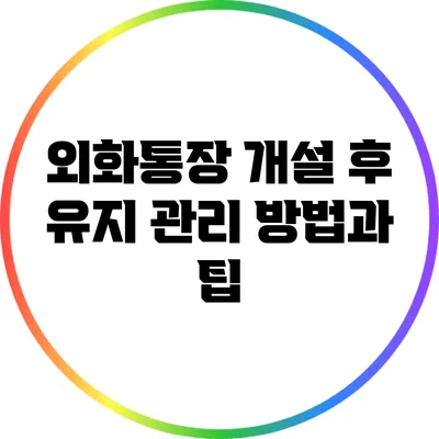 외화통장 개설 후 유지 관리 방법과 팁