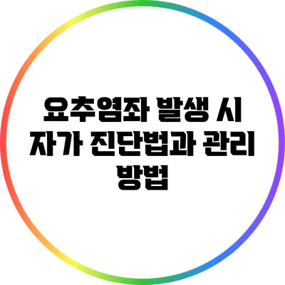 요추염좌 발생 시 자가 진단법과 관리 방법