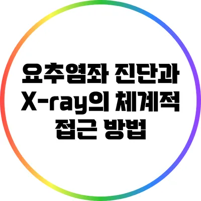 요추염좌 진단과 X-ray의 체계적 접근 방법