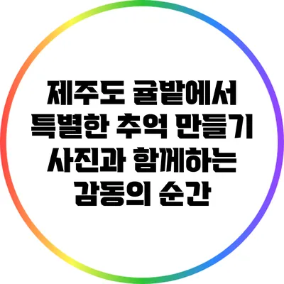 제주도 귤밭에서 특별한 추억 만들기: 사진과 함께하는 감동의 순간