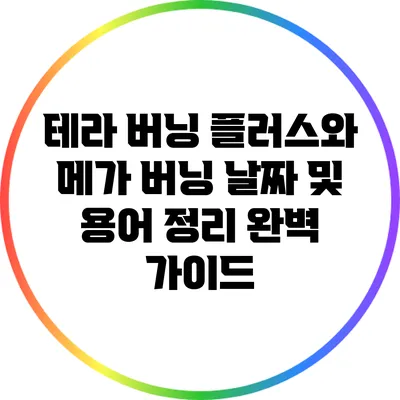 테라 버닝 플러스와 메가 버닝: 날짜 및 용어 정리 완벽 가이드