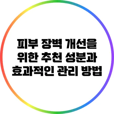 피부 장벽 개선을 위한 추천 성분과 효과적인 관리 방법