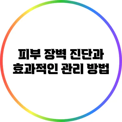 피부 장벽 진단과 효과적인 관리 방법