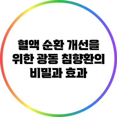 혈액 순환 개선을 위한 광동 침향환의 비밀과 효과