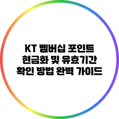 KT 멤버십 포인트 현금화 및 유효기간 확인 방법 완벽 가이드