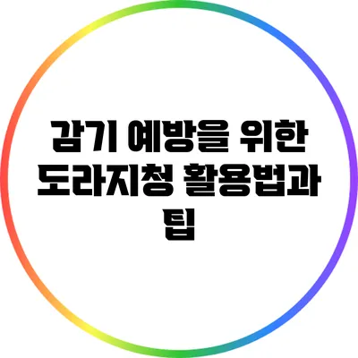 감기 예방을 위한 도라지청 활용법과 팁