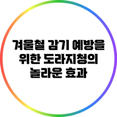겨울철 감기 예방을 위한 도라지청의 놀라운 효과