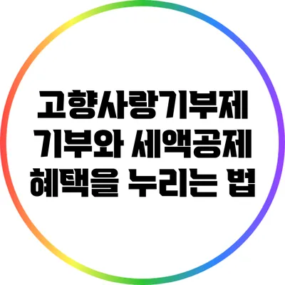 고향사랑기부제 기부와 세액공제 혜택을 누리는 법