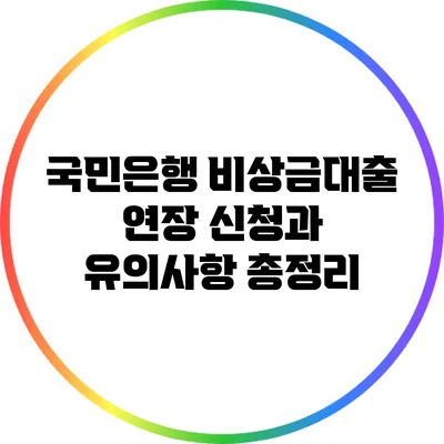 국민은행 비상금대출 연장 신청과 유의사항 총정리