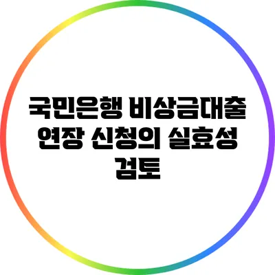 국민은행 비상금대출 연장 신청의 실효성 검토