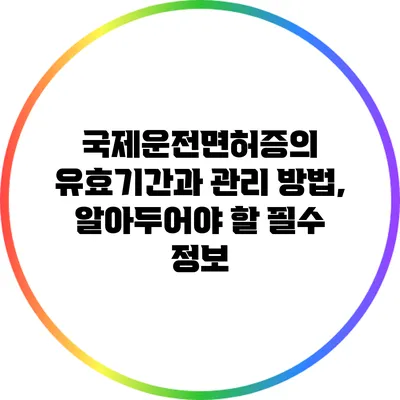 국제운전면허증의 유효기간과 관리 방법, 알아두어야 할 필수 정보