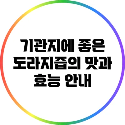 기관지에 좋은 도라지즙의 맛과 효능 안내