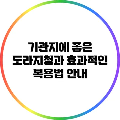 기관지에 좋은 도라지청과 효과적인 복용법 안내