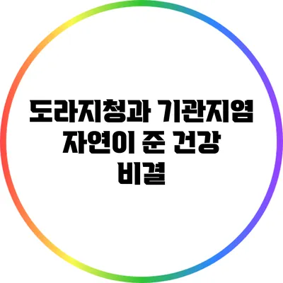 도라지청과 기관지염: 자연이 준 건강 비결