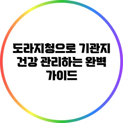 도라지청으로 기관지 건강 관리하는 완벽 가이드