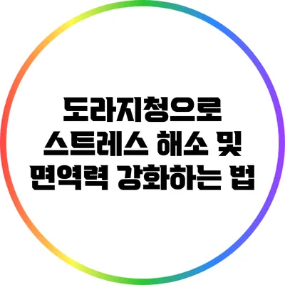 도라지청으로 스트레스 해소 및 면역력 강화하는 법