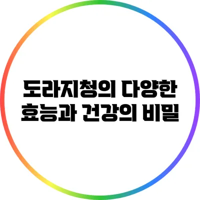 도라지청의 다양한 효능과 건강의 비밀