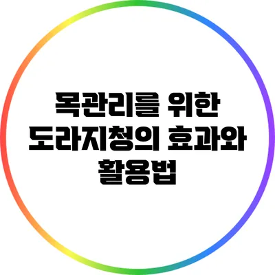 목관리를 위한 도라지청의 효과와 활용법