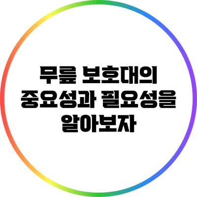 무릎 보호대의 중요성과 필요성을 알아보자