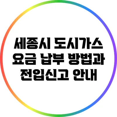 세종시 도시가스 요금 납부 방법과 전입신고 안내