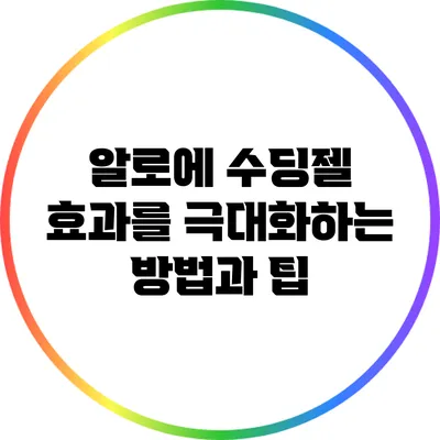 알로에 수딩젤 효과를 극대화하는 방법과 팁