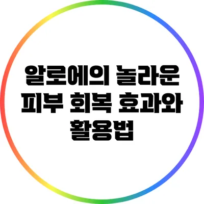 알로에의 놀라운 피부 회복 효과와 활용법