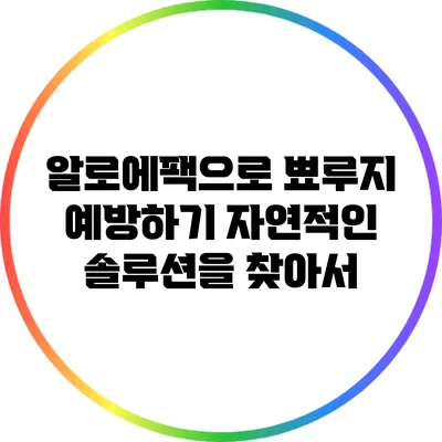 알로에팩으로 뾰루지 예방하기: 자연적인 솔루션을 찾아서
