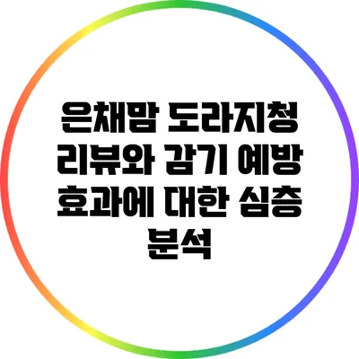 은채맘 도라지청 리뷰와 감기 예방 효과에 대한 심층 분석
