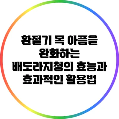 환절기 목 아픔을 완화하는 배도라지청의 효능과 효과적인 활용법