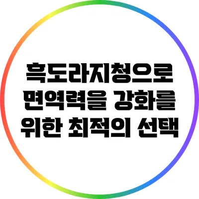 흑도라지청으로 면역력을 강화를 위한 최적의 선택