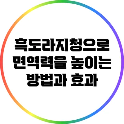흑도라지청으로 면역력을 높이는 방법과 효과
