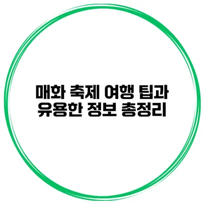 매화 축제 여행 팁과 유용한 정보 총정리